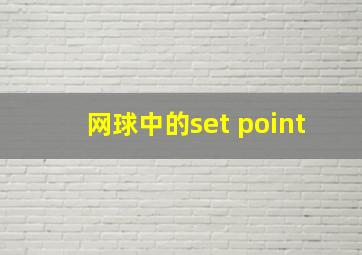 网球中的set point